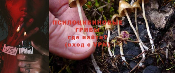 скорость Каменка