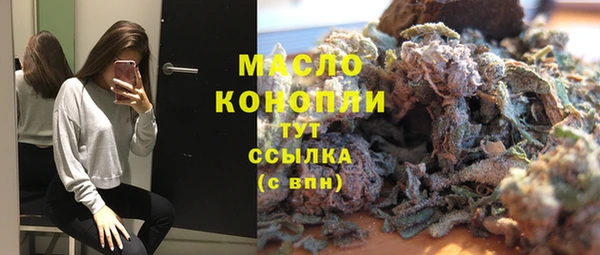 скорость Каменка